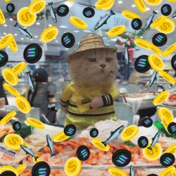 Market Cat Coin: MEME Coin 'mc' – Trade Fish Day, Solana Night