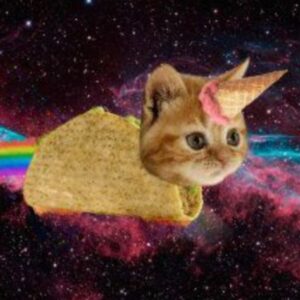 FTIC Coin: Flying Taco Icecream Cat MEME Coin – Join the Fun Now!