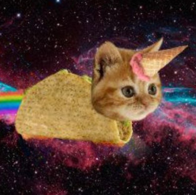 FTIC Coin: Flying Taco Icecream Cat MEME Coin u2013 Join the Fun Now!