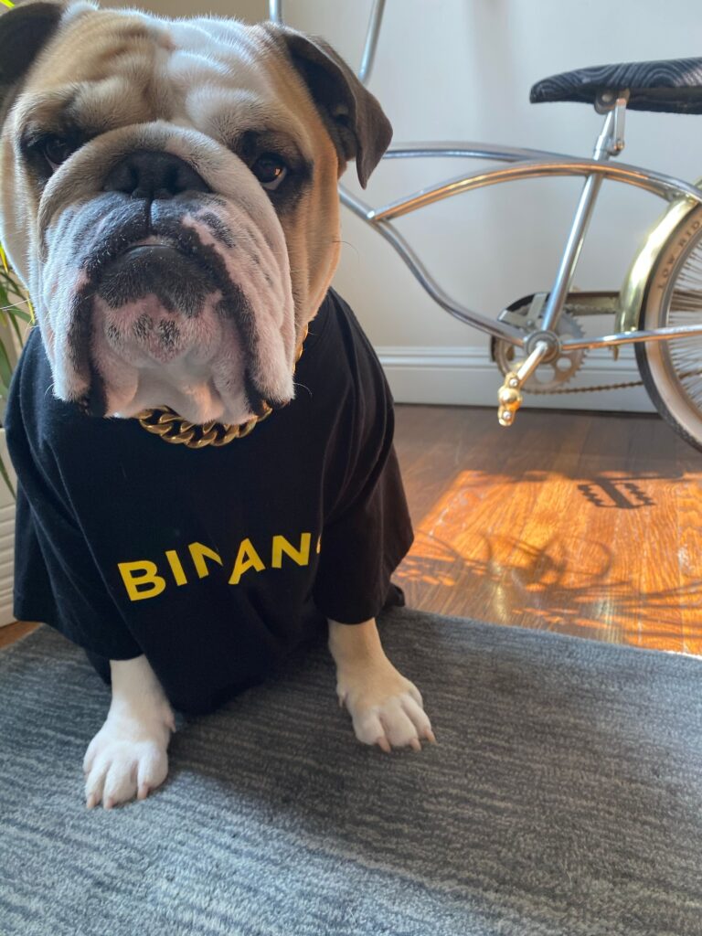 Binance Dog Biggie