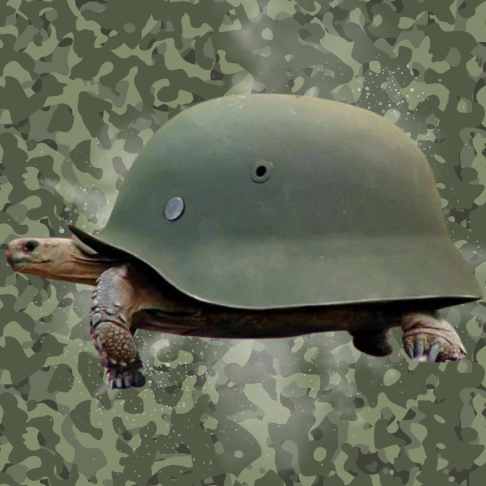 tt Coin: Trenches Turtle Meme Coin - Unstoppable Growth, Dive In!