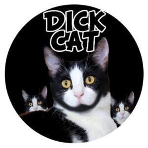 Dickcat Coin: Meme Magic with Dickcat Coin - Enter the Hilarious Realm