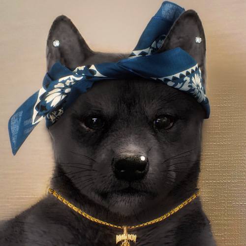 2WIF Coin: Inspired by 2 Wif Shakur MEME Coin where Only dog can judge me bow. Join the pack and ride the MEME wave!