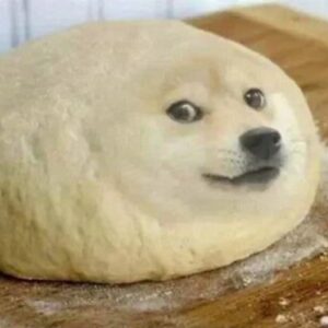 DOH Coin: Meme Coin Baking Up DOUGHGE - A Degen Delight