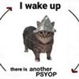 PSYOP Coin: Dive into the Ultimate Meme Coin Frenzy with Psyop Cat