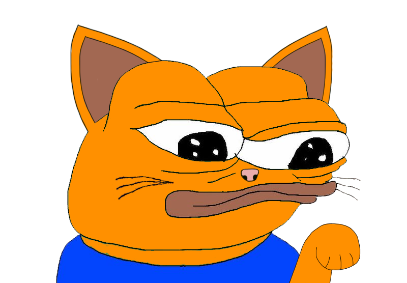 Figgles Coin: The Latest MEME Coin Featuring Figgles the Orange Cat