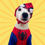 $PETE Meme Coin: Meet Peter Barker, the Superdog Crypto Coin