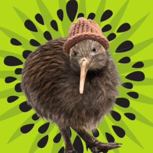 KIWIF Coin: Meme Coin—Literally Just a Kiwi wif a Hat!