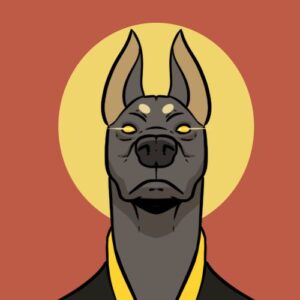 ANUBIS Coin: Unleash the Ultimate Meme Coin on Solana! 🚀🐾