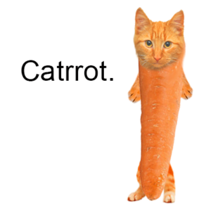 catrrot Coin: Discover 'catrrot' Coin, Your New Favorite in MEME Coins!