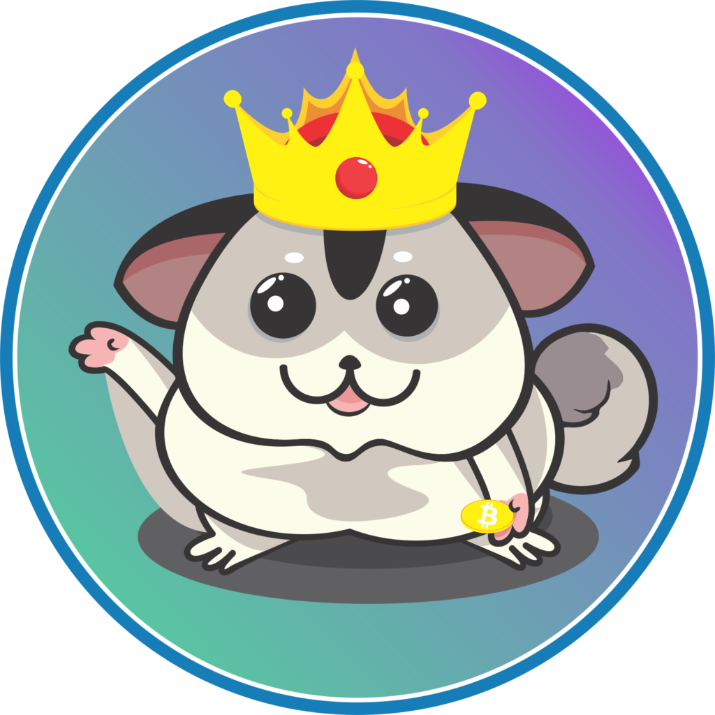 KSG Coin: Discover King Sugar Glider, Solana's Cute Meme Coin!