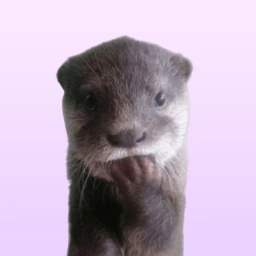 Chitan Coin: Meme Magic of Japan's Playful Otter Legend