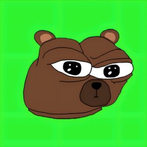 BUBU Coin: Bubu the Bear – Fun Meme Coin for the Bear Market