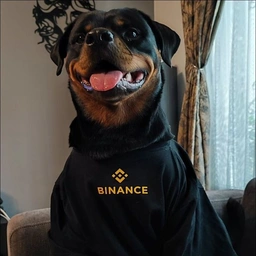 Dogs Coin: Top Meme Coin BinanceDog On SOL, Next Big Thing