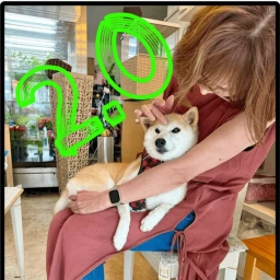 Neiro2 Coin: New Meme Coin with Happy Rescue Dog Story