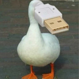 USBD Coin: Quirky Meme Coin USB DUCK for Your Collection