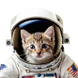 Neil Coin: Space Cat Meme Coin Leading Feline Lunar Charge