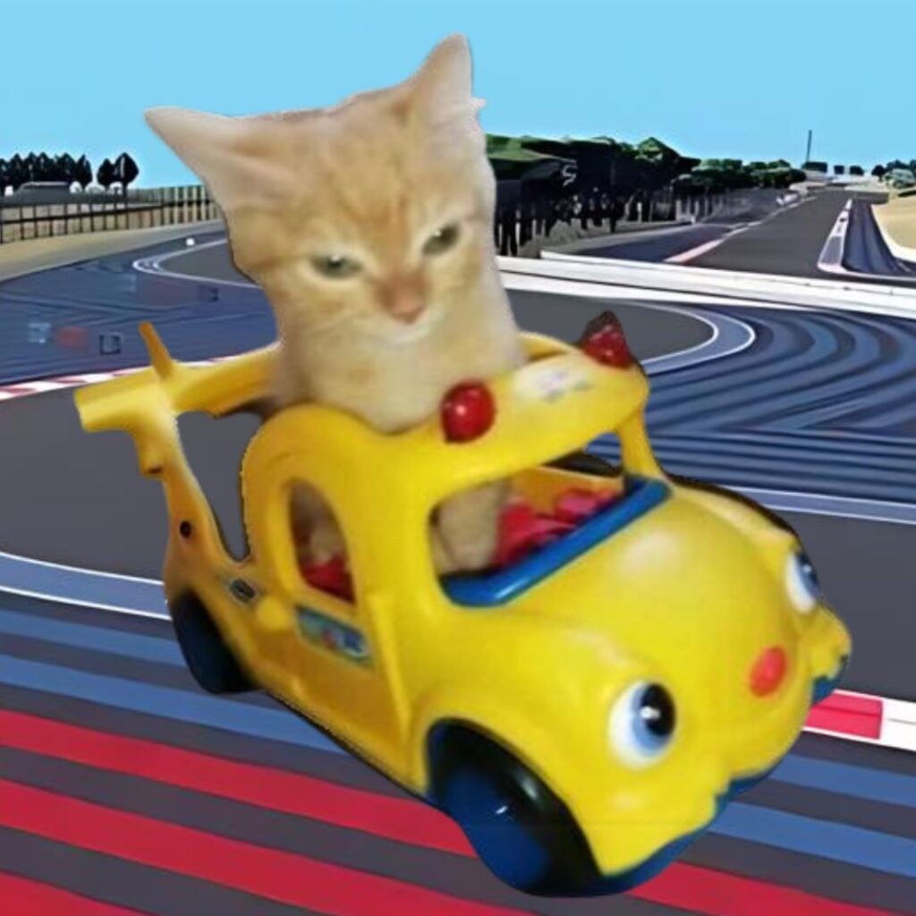 Vroom Coin: Speed into Future with Meme Vroom Cat Coin! ud83dude80ud83dudc31