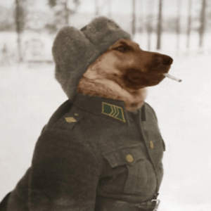 OLEG Coin: War is Hell Meme Coin - Meet COMRADE OLEG, The Doge