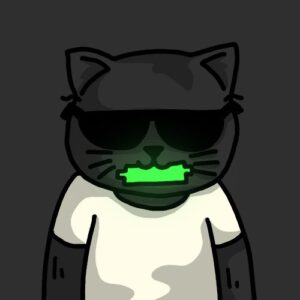 ASH: Meme Guru Coin for Chill Vibes & Fun with ASH THE BAD CAT