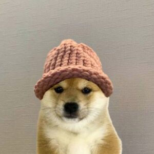 WITH Coin: Discover the Latest MEME Coin with DogWithHat