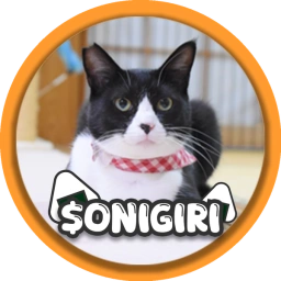 ONI: Meme Coin - Cute Tsundere Pet Onigiri, Coin Name Coin