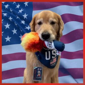 BEA: Beacon Meme Coin - The US Olympic Team's Golden Retriever Coin