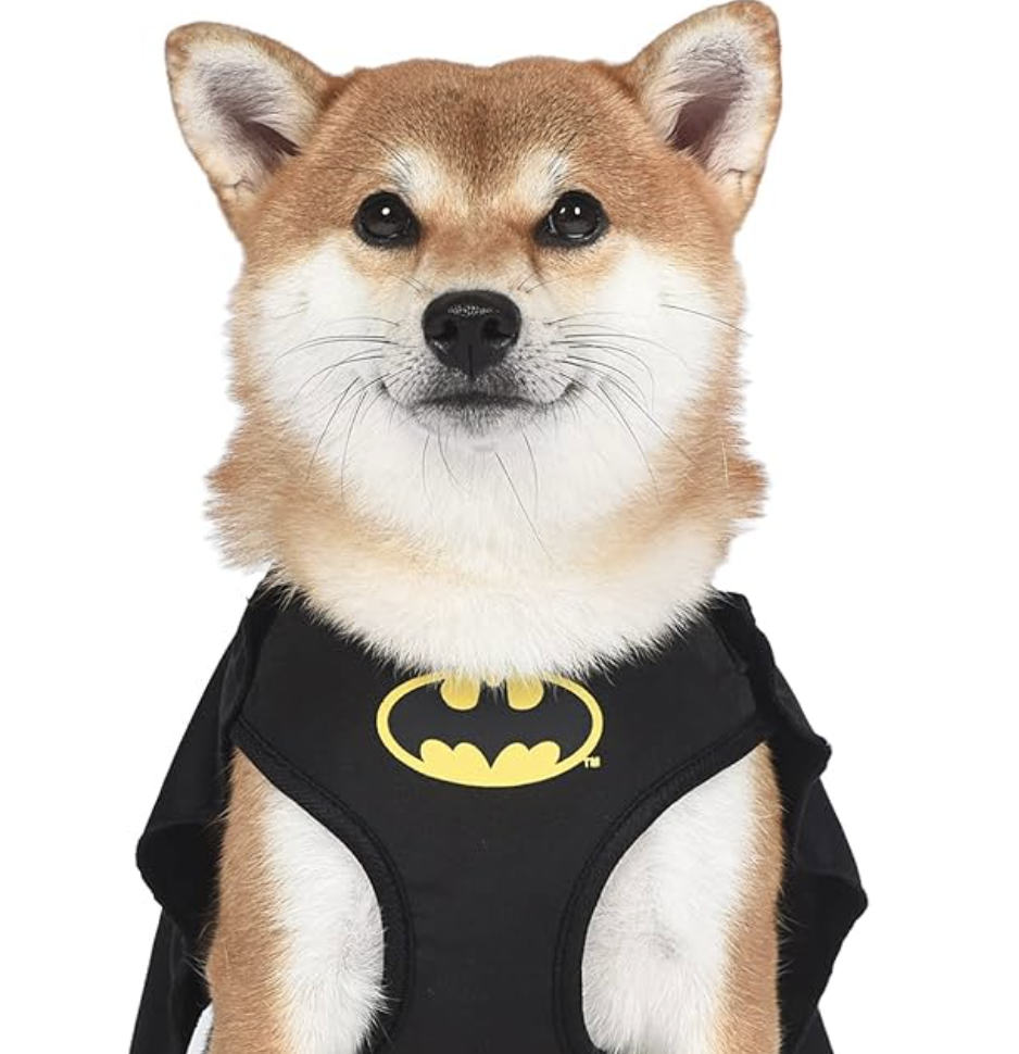 BATDOG Coin: Thrilling MEME Coin Adventure with Unique Rewards