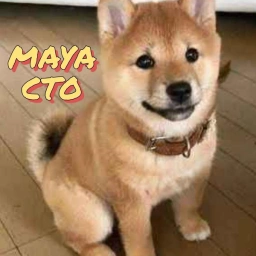 MAYA Coin: Meme Coin by Maka's Sister, Born in Chaos, Driven by Community!