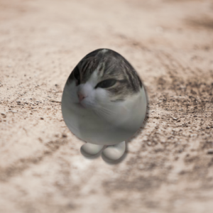 EGGCAT Coin: The Latest MEME Coin Sensation - Unleash EGGCAT Power!