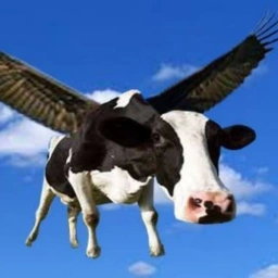 FCC Coin: Flying Cocaine Cow Memeu2014The Wildest Meme Coin Buzz Today!