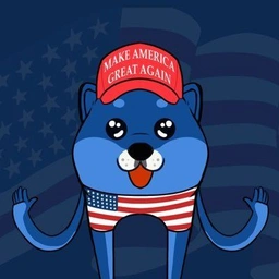 USDOGE: The Meme Coin Set to Moon with the American Spirit