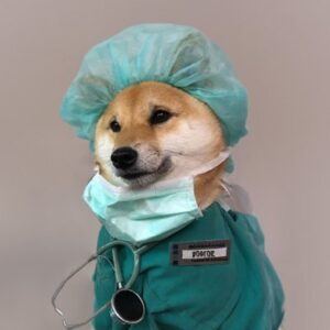 DOGTOR Coin: Meme Coin Inspired by Dr Hoshi's Dream of Being a Dogtor