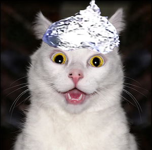 TINFO Coin: Unmask Truth with TINFO CAT - The Ultimate Meme Coin