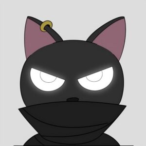 NINJA Coin: Thrilling Meme Coin—Cats vs Dogs Chase, Always On the Run!