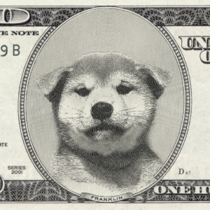 usDog Coin: The Only MEME Coin You Need - Join the usDog Revolution