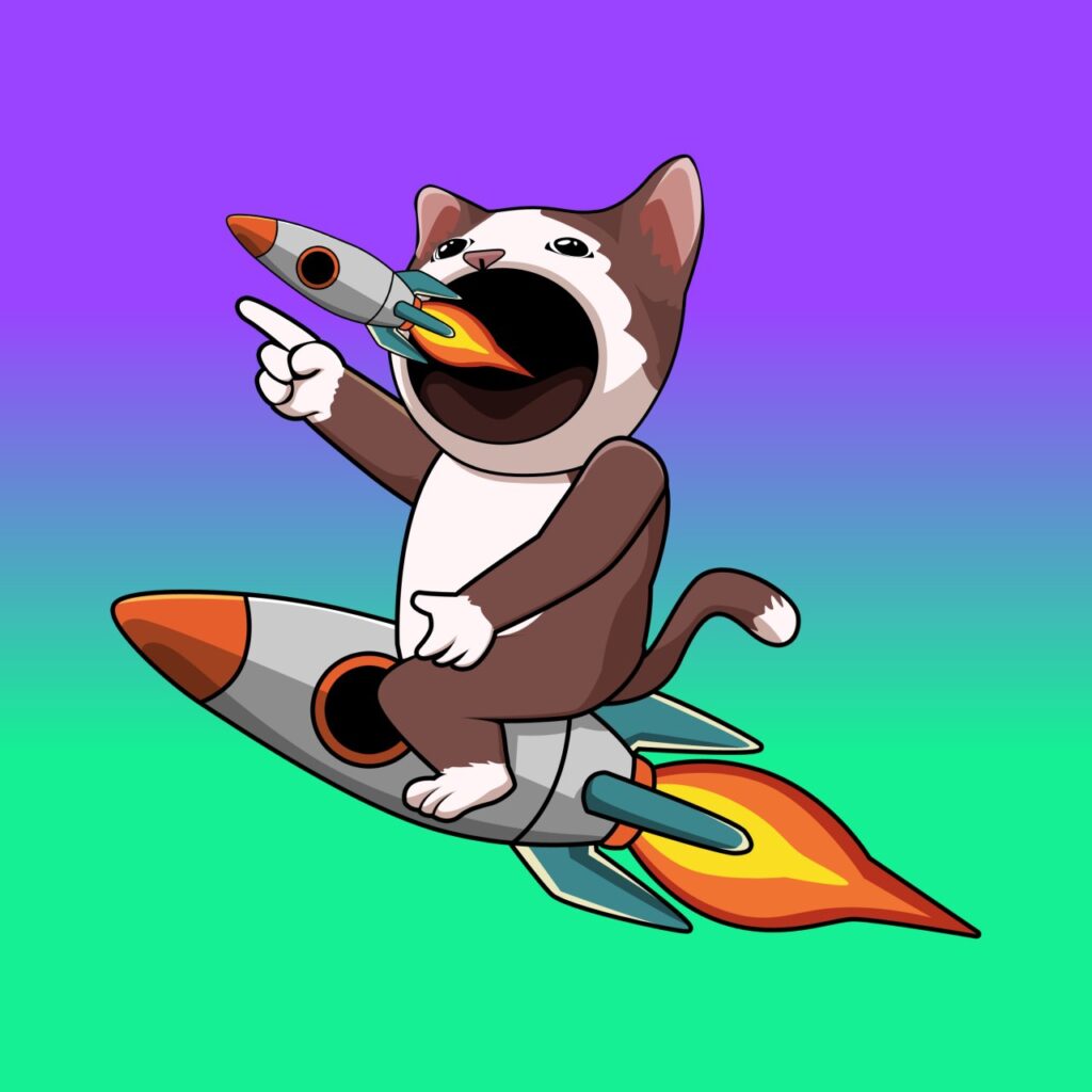 RCAT Coin: ROCKETCAT ud83dude80 Meme Coin - Fuel Your Adventure in the Coin Universe