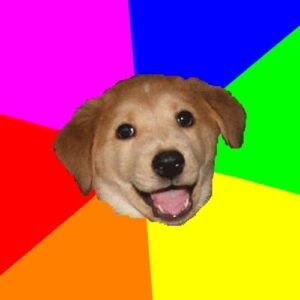 aDOG Coin: Decentralized Meme Coin, No Promo, Just Good Boy