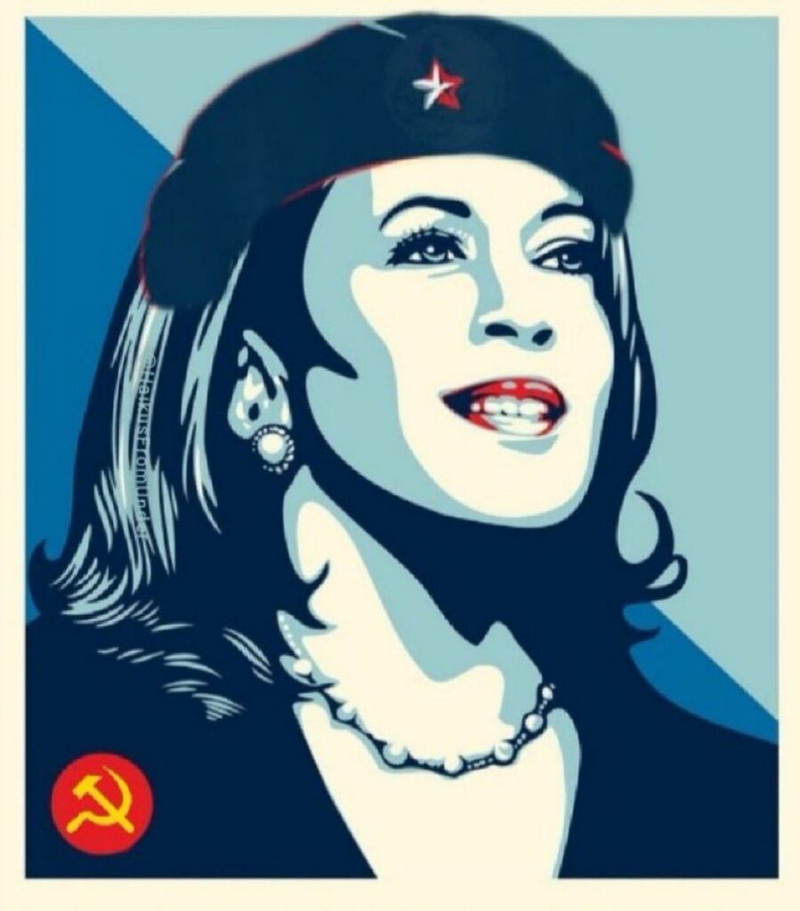 Kamu Coin: The #Kamunism Meme Coin Revolution by Kamala Harris