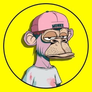 MONKE Coin: The Wildest Meme Coin on Aptos - Unleash MONKE Power