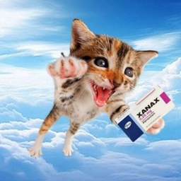 XANAX Coin: Meme Coin Fun with Flying Cat Xanax u2013 Join the Ride!