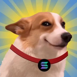 R/Sundog: Meme Coin Reddit Sundog – Fun in Sunshine & Laughs