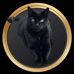 PEPITO Coin: The Purr-fect Meme Coin for Cat Lovers Everywhere