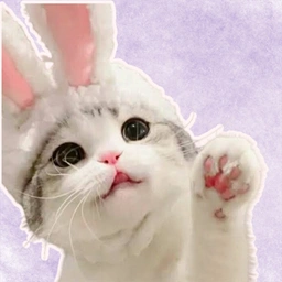 Buneko Coin: Cutesy BunnyCat MEME Coin on Solana - Invest Today!