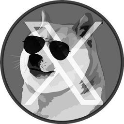 XDoge Coin: Join the XDoge revolution with the ultimate meme coin for $DOGE fans!