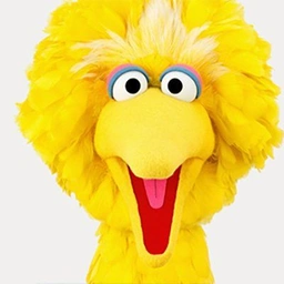 $BB Coin: Big Bird's Latest MEME Coin Sensation - Join the Revolution