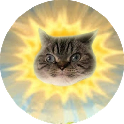 Suncat Coin: Ride the Meme Wave with SUNCAT Coin and Shine Bright!