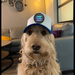 Solanadog: Meme Coin SOLANA DOG Pumping Now on PUMP.FUN