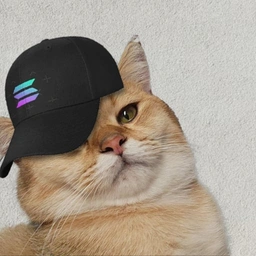 solanacat Coin: Meme King - SolanaCat Coin Reigns Supreme in Victory