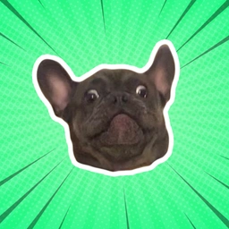 RAFPAF: Meme Coin Rafa - The Crypto Bulldog Enthusiast Coin